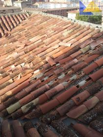 TEJADO EN EL COSO 01.jpg